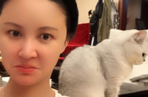 我们是挚友——以动画为媒 加深中塞友情